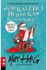 Matt Haig - Kaip Kalėdų berniukas tėčio ieškojo - 000000000002169399