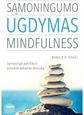 Sąmoningumo ugdymas. Mindfulness